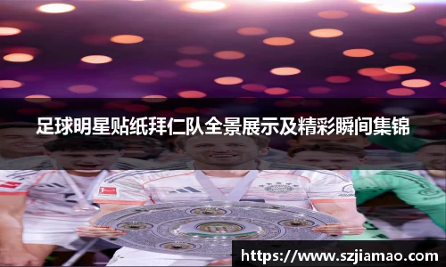 足球明星贴纸拜仁队全景展示及精彩瞬间集锦